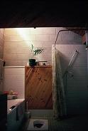 Bathroom with clerestory light on Spring morning